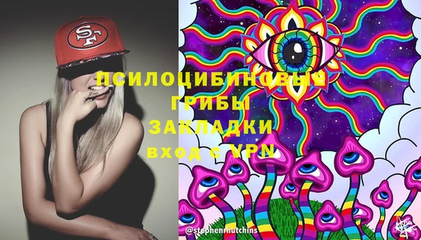прущая мука Богородицк