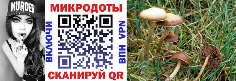 Галлюциногенные грибы ЛСД  Тогучин 